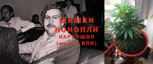 каннабис Арсеньев