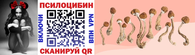 Купить закладки  Навашино  Галлюциногенные грибы Cubensis 